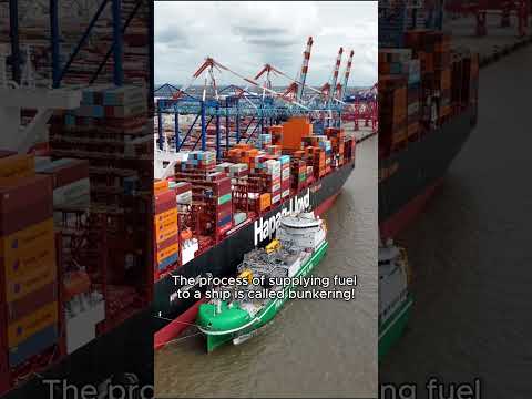 The Wilhelmshaven Express Is Getting Fueled Up In Bremerhaven Hapaglloyd Marineservices