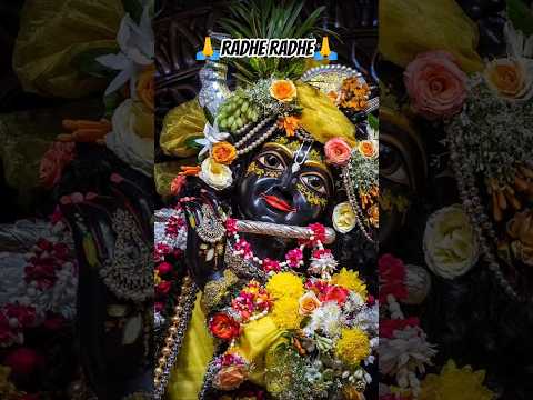 shree radhe kirshna🙏🙏 #khatushyam #shyamsarkar #khatushyamji #radharani #jaishreekrishna #ytshorts