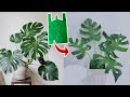 DIY Cara Membuat Tanaman Monstera dari Plastik Kresek | How to make Monstera Plant from Plastic Bag