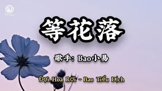 Bao小易 - 等花落 (等花落花落在眉梢 等风等你心尖跳) || Đợi Hoa Rơi - Bao Tiểu Dịch (Lyrics 2026)