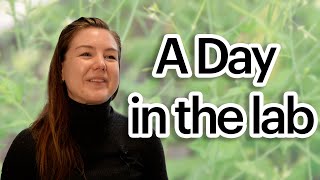 Making a big switch to plant biology | A Day in the lab