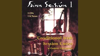 Video thumbnail of "le Ceoltóiri Cultúrlainne - Boyne Hunt"