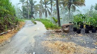 Heavy Rain in Dense Village Life | Walk When It Rains | Sleep Well With Pure Rain Sounds