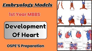 Development of a Heart Model | Ospe Preparation | CVS and Respiratory module | Dr. KS Academy