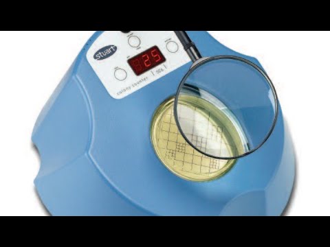 كيفية عد المستعمرات الميكروبية     