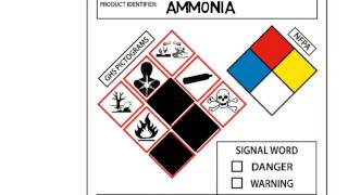 GHS Secondary Container Labels