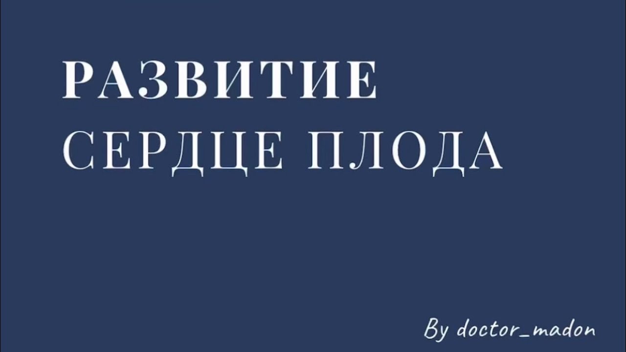 Развитие сердце плода - YouTube