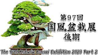 【盆栽】第97回 国風盆栽展 後期【Bonsai】The 97th Kokufu Bonsai Exhibition 2023 Part 2