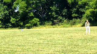 Keiffer's First Lure Coursing Experience by Erin Rhodes 41 views 12 years ago 1 minute, 6 seconds