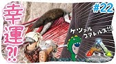 Ark 減少した恐竜をリセットしたら念願の彼に出会ったのですぅ 30 アークps4版実況 Youtube Ark 減少した恐竜をリセットしたら念願の彼に出会ったのですぅ 30 アークps4版実況 Youtube