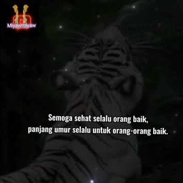 story wa macan putih. karena Do'a bisa merubah takdir. #shorts