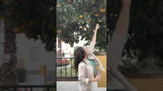 Что с криптовалютами в Испании? Законодательство, налогообложение криптовалют, лицензированные