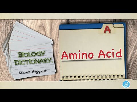 Amino acid |