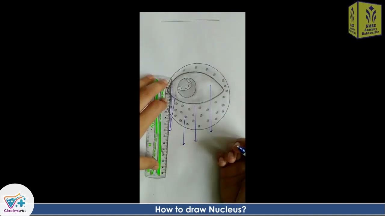 How to draw nucleus ? #practical #biology #nuclear #drawing - YouTube