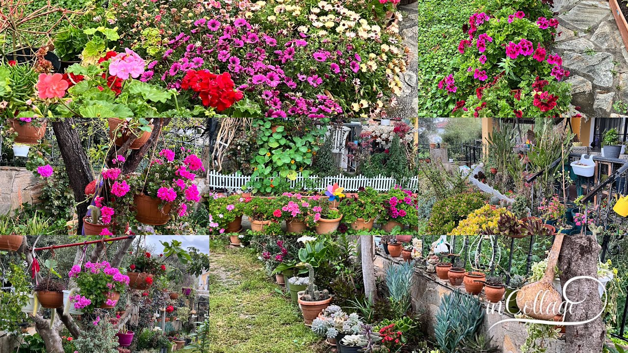 Bahçe Tur &Ramazan Bayramız mübarek olsun