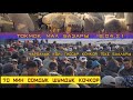 Токмок мал базар 18.04.2021. 70 мин сомдук кочкор!  Кой, эчки, теке , кочкор баалары.