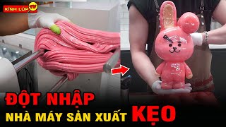 🔥 Đột Nhập Nhà Máy Sản Xuất 6 Loại Kẹo Nổi Tiếng Nhất Khiến Triệu Người Thèm Nhỏ Dãi | Kính Lúp TV screenshot 4