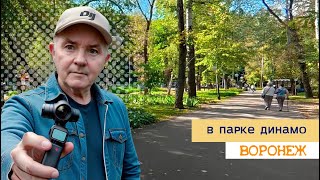 картинка: В парке Динамо, Воронеж 14 0 25г