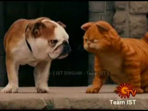 Garfield 1