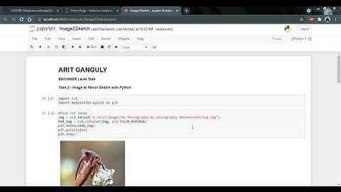 Image to Sketch using Python OpenCV & Matplotlib