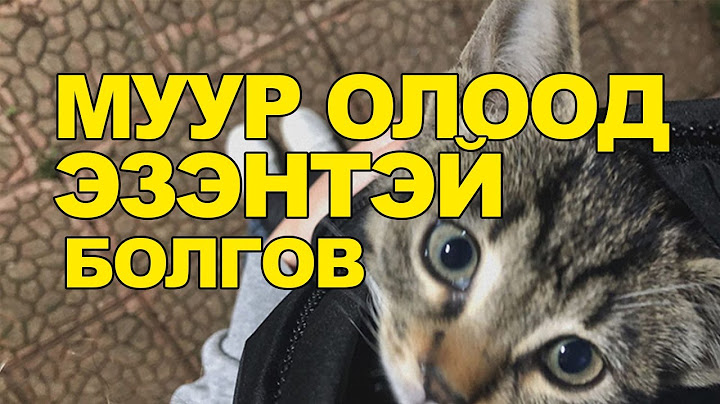 МУУР ОЛООД ЭЗЭНТЭЙ БОЛГОВ