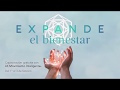 Expande el BienEstar – capacitación online gratuita, introducción a LK Movimiento Inteligente®