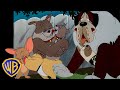 Tom & Jerry | Best of Dogs! 🐶❤️ | Animals Month | Classic Cartoon Compilation | @wbkids​