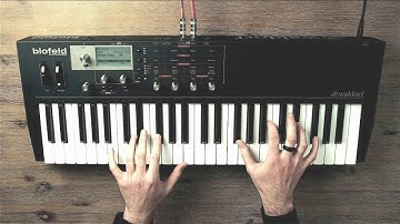 Your First Synthesizer ?