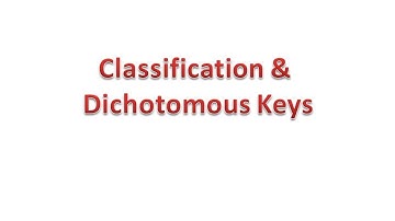 Classification and Dichotomous Keys