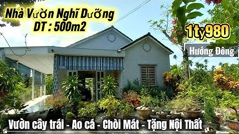 Tập 3521 Bán Nhà Vườn 500m2 có Cây Trái, Ao Cá, Chòi Mát - Tặng Nội Thất - Đường Xe Oto 