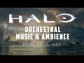 Halo  peaceful orchestral music  ambience  3 stunning scenes in 4k