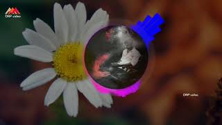 Love Bgm For Short Film | Non Copyright Music | Presented By DRP video | 1080p screenshot 4