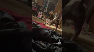 Playtime #1192023