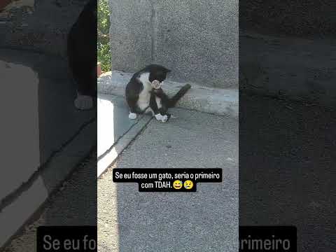 como não rir disso kkkkk #humor #memes #comedia #tops #shorts #viral_video #fyp #fy #tops #engraçado