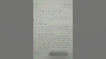 Class 10 Information Technology Practical File Editing Graphics And Images