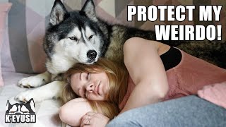 Being Protected By My Husky While I Nap!