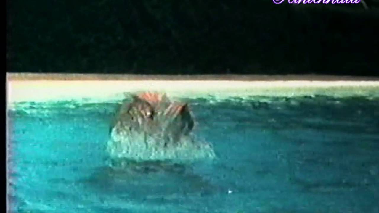 Michel Berger - L'amour existe encore.