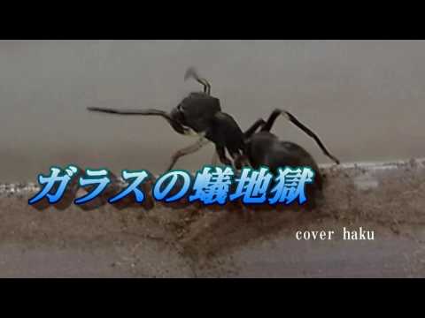 ガラスの蟻地獄　チョン・テフ　cover   haku