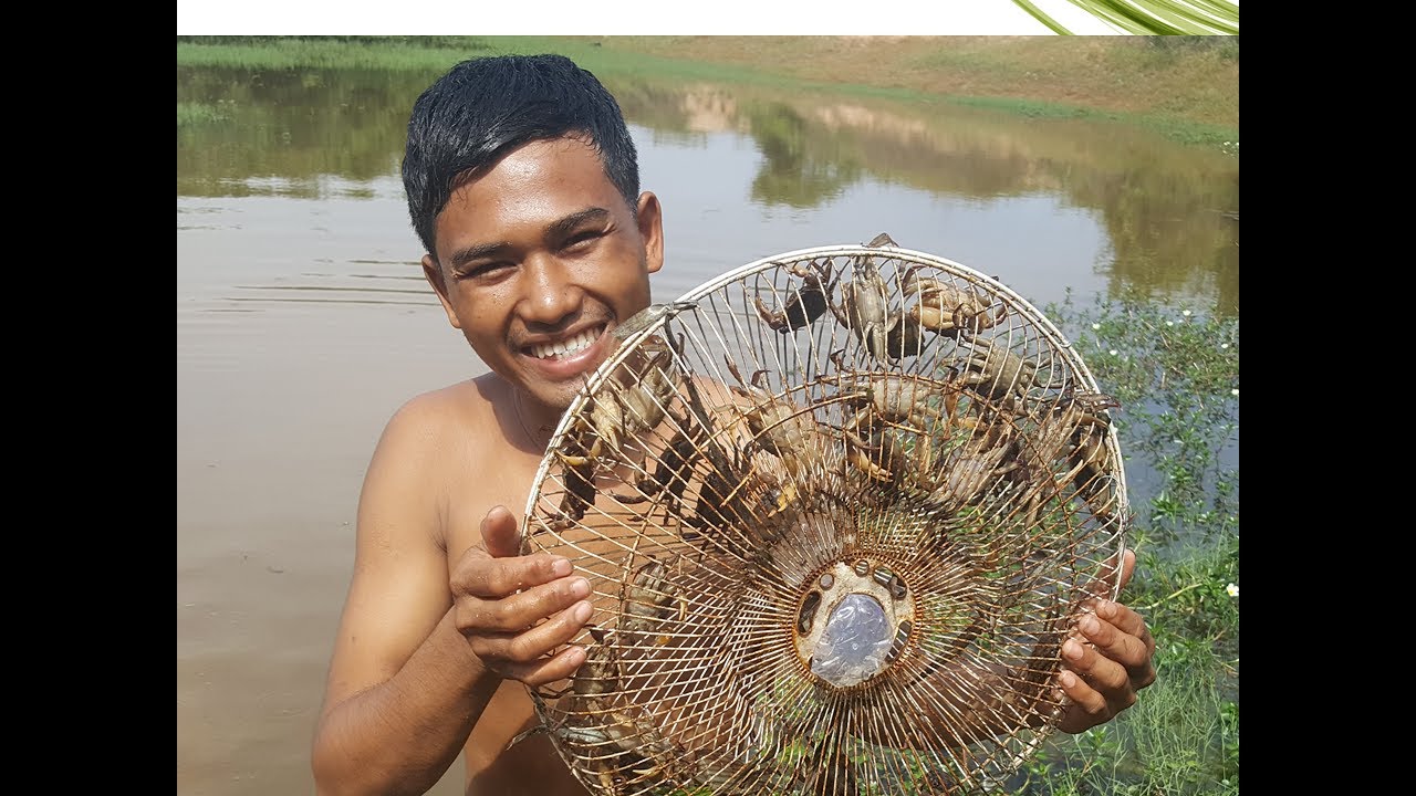 Amazing Boy Electric Fan Guard Crab Trap - Catch Crab With Trap In Angkor   Cambodia