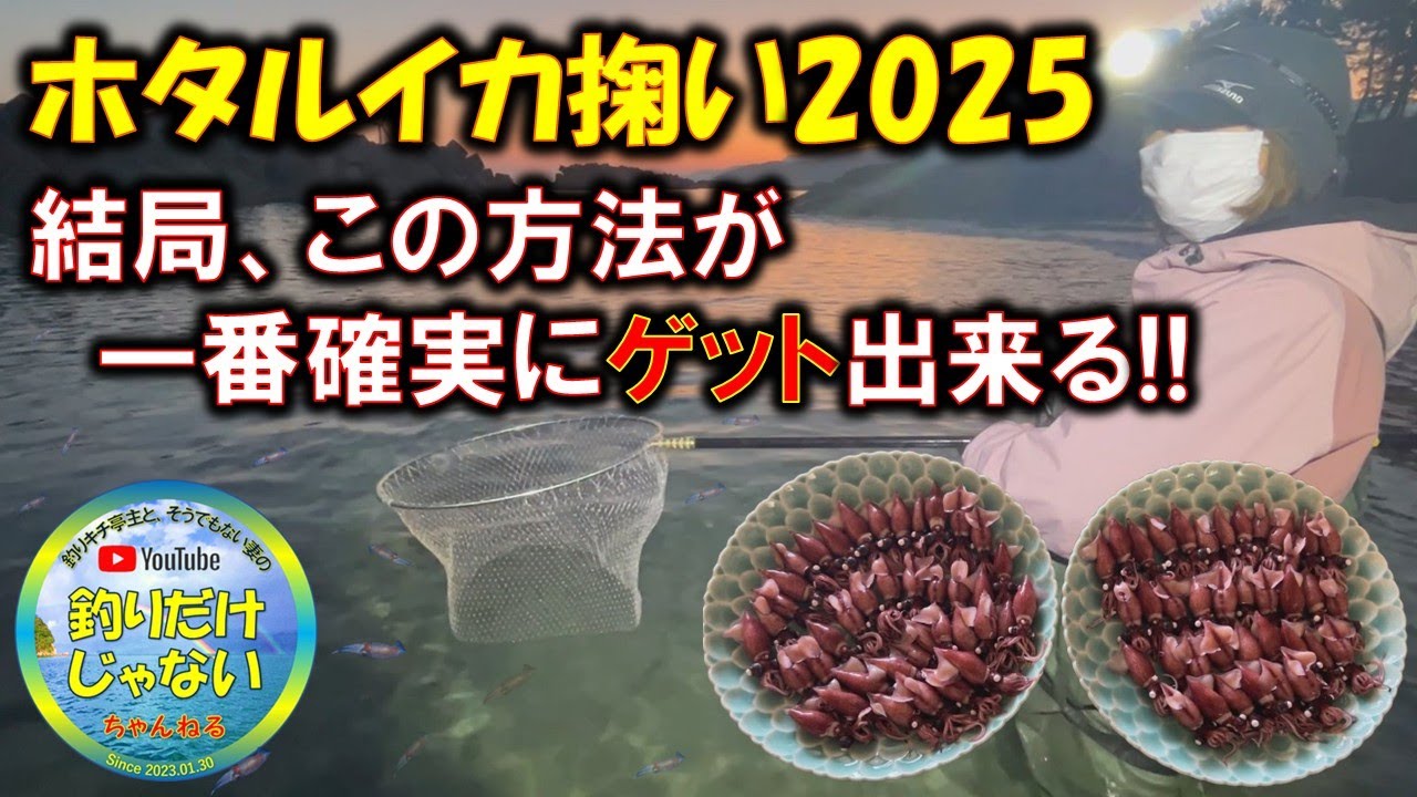 【ホタルイカ掬い2025】見なきゃ損！！ホタルイカを一番確実にゲットできる方法！！今回は自信あり！！海老江・魚津補助港・入善、3班で別々の場所を攻めてみる！爆ワキ必至！！