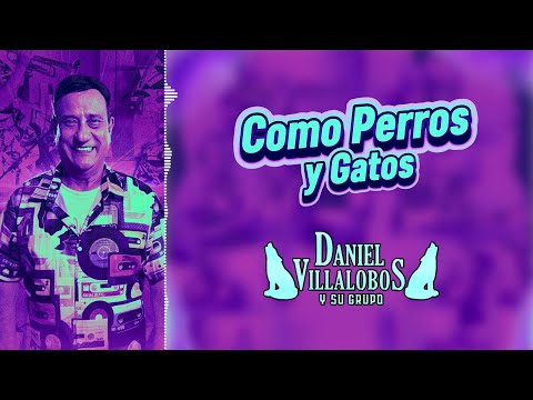 Daniel Villalobos y Su Grupo - Como Perros Y Gatos (Video Lyric)