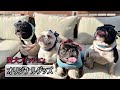 【おすすめ】犬友達に「すごい才能」持ってる人がいました！【オリジナルグッズ】