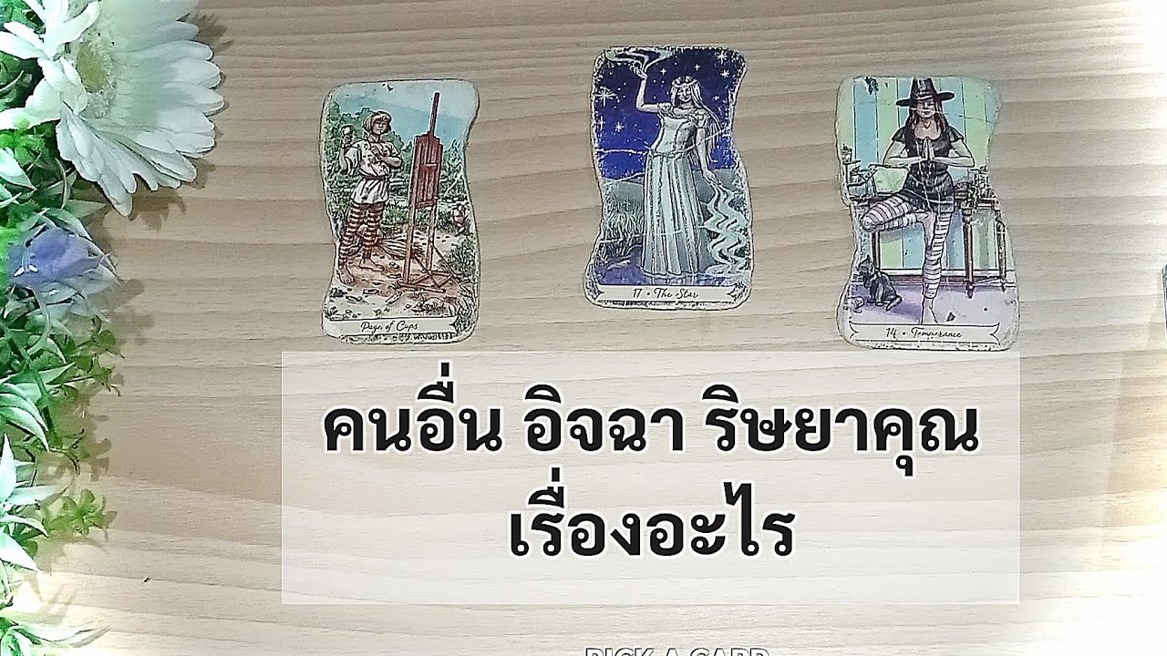 🦉PICK A CARD🔮: คนอื่นอิจฉา ริษยาคุณเรื่องอะไร🤫🙄🙈😼| Timeless