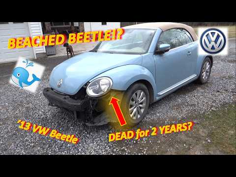 "Beached Beetle"?...Hasn't Run in 2 Years! ('13 VW: ECM No Communication)