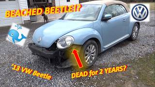 Celebrity "Beached Beetle"?...Hasn't Run in 2 Years! ('13 VW: ECM No Communication) Wealth