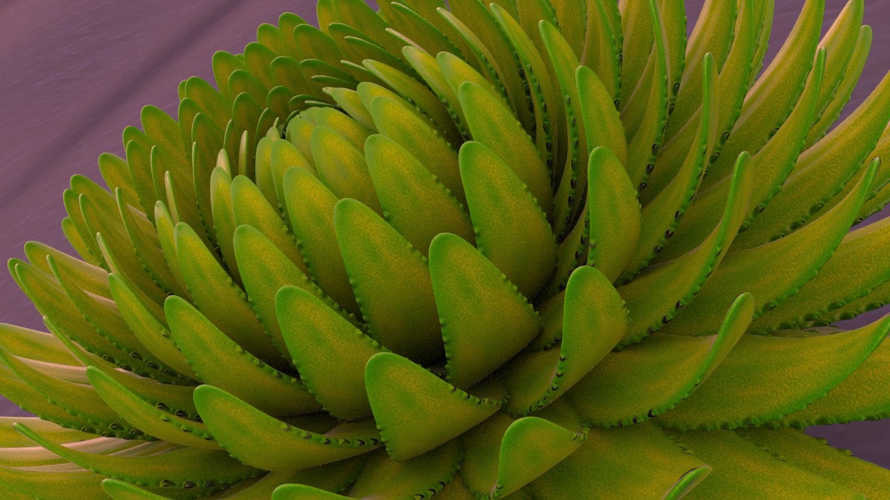 Phyllotactic animation - Houdini