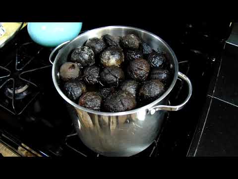 Como fazer Black Walnut Ink DIY Tutorial