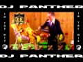 Panthers  90smix