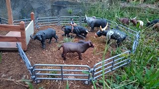 Dia de rodeio com touros bravos da fazendinha de brinquedos
