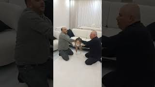 Mustafa Yapma Kolun Çikar